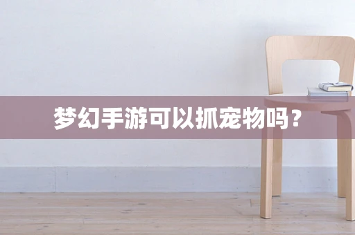 梦幻手游可以抓宠物吗？