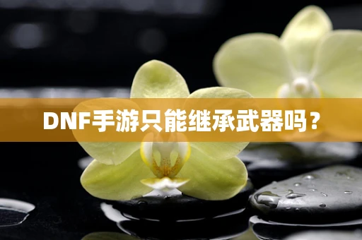 DNF手游只能继承武器吗？