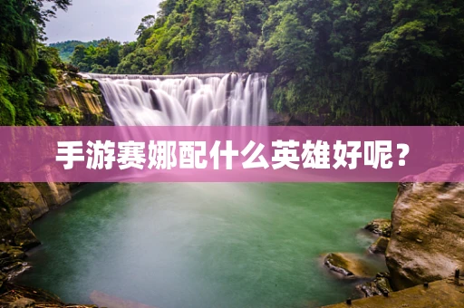 手游赛娜配什么英雄好呢？