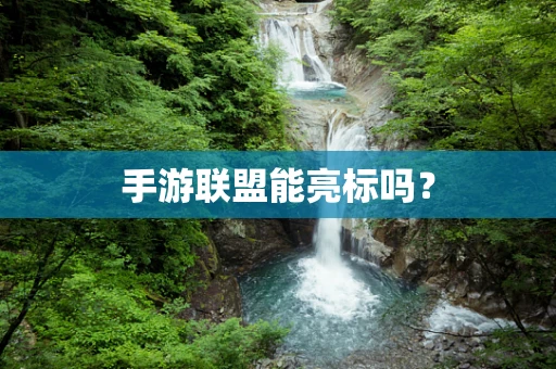 手游联盟能亮标吗？