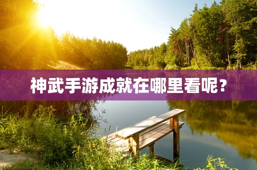 神武手游成就在哪里看呢？