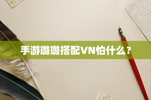 手游璐璐搭配VN怕什么？