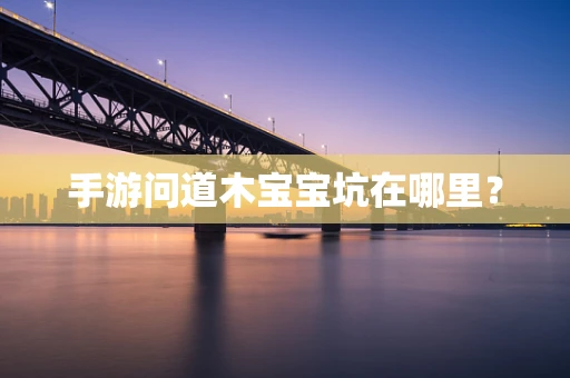 手游问道木宝宝坑在哪里？