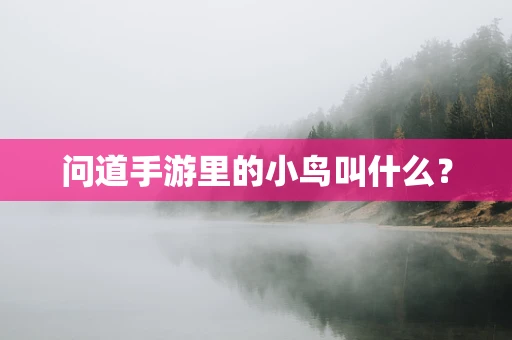 问道手游里的小鸟叫什么？