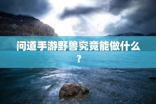 问道手游野兽究竟能做什么？
