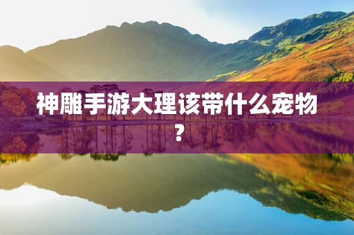 神雕手游大理该带什么宠物？