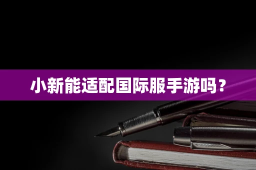 小新能适配国际服手游吗？