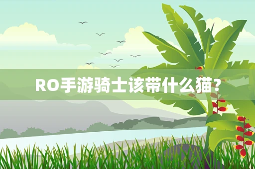 RO手游骑士该带什么猫？