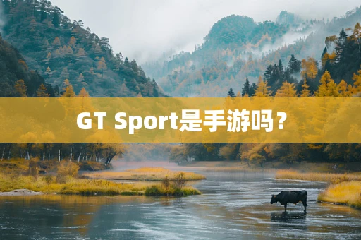GT Sport是手游吗？