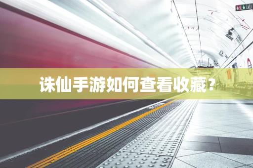 诛仙手游如何查看收藏？