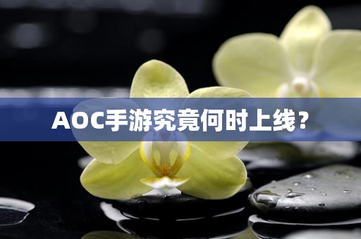 AOC手游究竟何时上线？