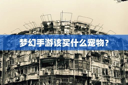 梦幻手游该买什么宠物？