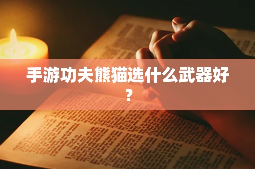 手游功夫熊猫选什么武器好？
