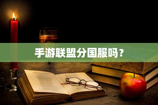 手游联盟分国服吗？