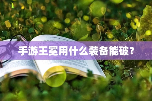 手游王冕用什么装备能破？