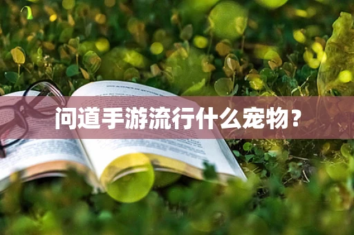 问道手游流行什么宠物？