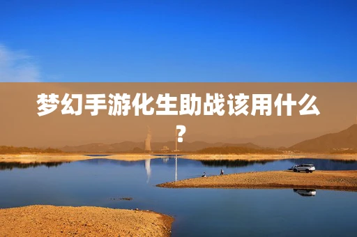 梦幻手游化生助战该用什么？