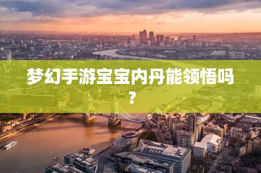 梦幻手游宝宝内丹能领悟吗？