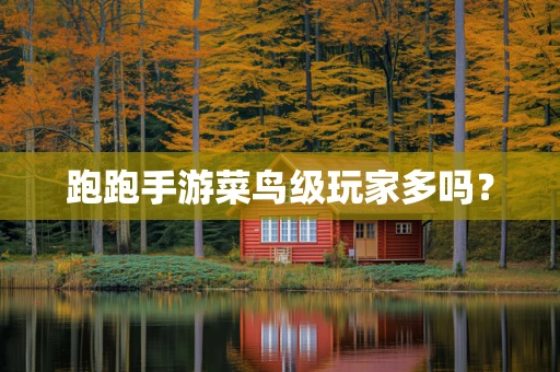 跑跑手游菜鸟级玩家多吗？