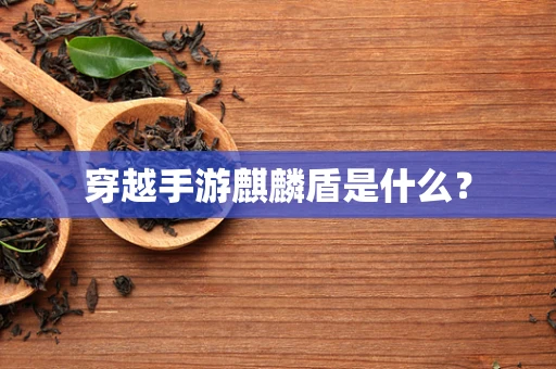 穿越手游麒麟盾是什么？