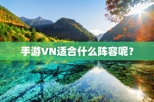 手游VN适合什么阵容呢？