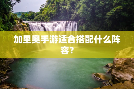 加里奥手游适合搭配什么阵容？