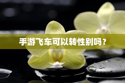 手游飞车可以转性别吗？