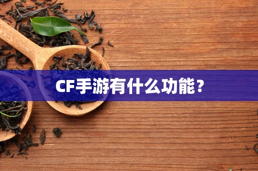 CF手游有什么功能？