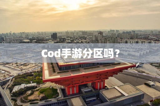 Cod手游分区吗？