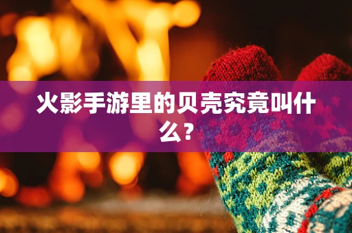 火影手游里的贝壳究竟叫什么？
