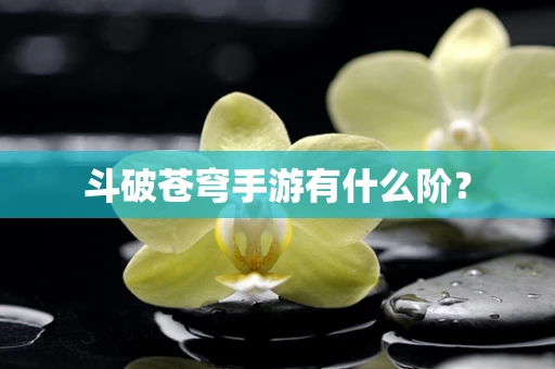斗破苍穹手游有什么阶？