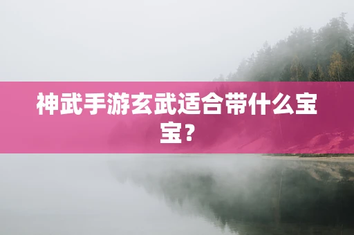 神武手游玄武适合带什么宝宝？