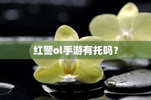 红警ol手游有托吗？