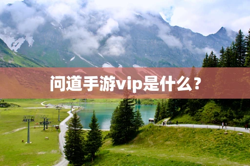 问道手游vip是什么？