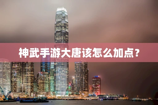 神武手游大唐该怎么加点？