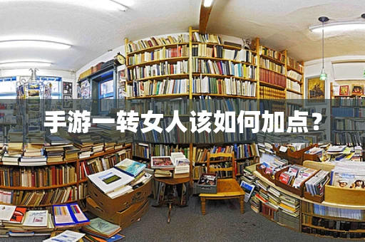 手游一转女人该如何加点？