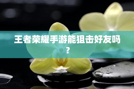 王者荣耀手游能狙击好友吗？