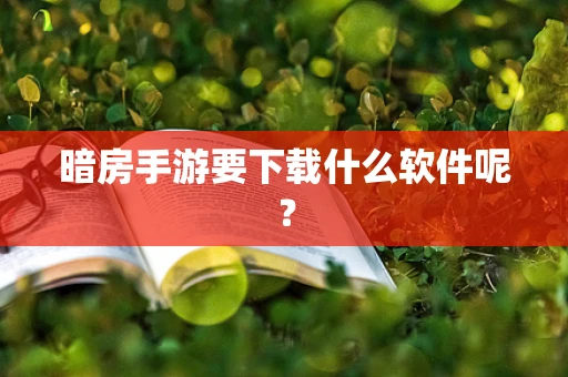 暗房手游要下载什么软件呢？