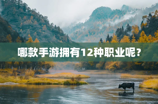 哪款手游拥有12种职业呢？