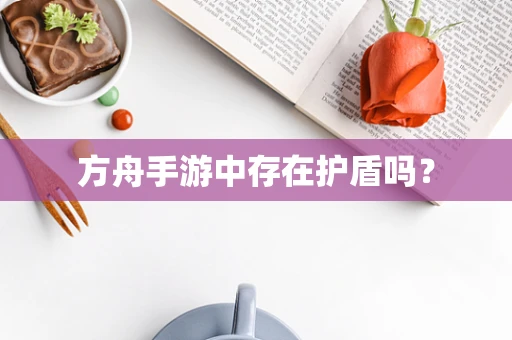 方舟手游中存在护盾吗？