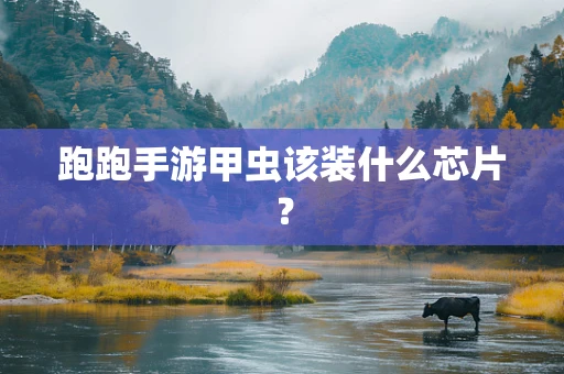 跑跑手游甲虫该装什么芯片？