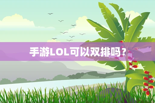手游LOL可以双排吗？