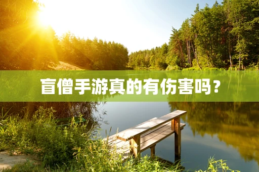 盲僧手游真的有伤害吗？