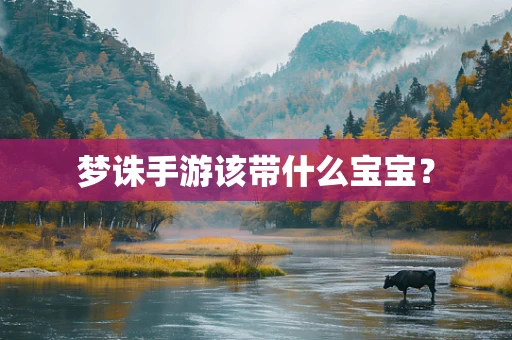梦诛手游该带什么宝宝？