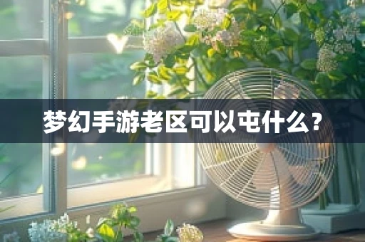 梦幻手游老区可以屯什么？