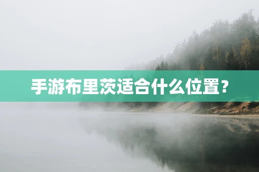 手游布里茨适合什么位置？