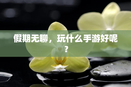 假期无聊，玩什么手游好呢？