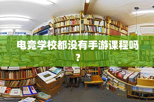 电竞学校都没有手游课程吗？