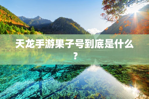 天龙手游果子号到底是什么？