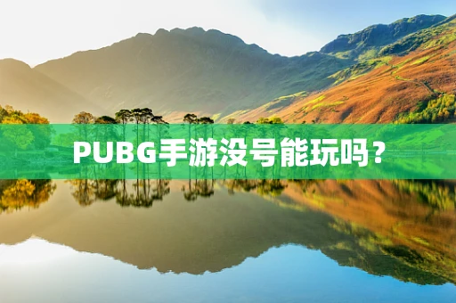 PUBG手游没号能玩吗？